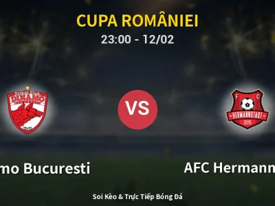 Soi Kèo Dinamo Bucuresti vs AFC Hermannstadt – 23:00 12/02 | Nhận Định, Dự Đoán Tỷ Số