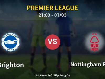 🔴 Trực Tiếp: Brighton 2-1 Nottingham Forest – Link Xem Premier League (Full HD)
