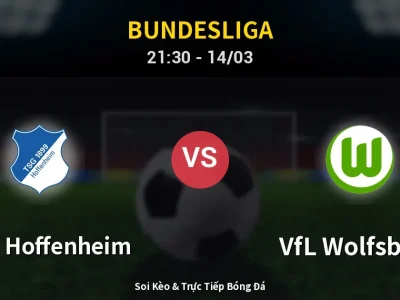 🔴 Trực Tiếp: 1899 Hoffenheim 0-0 VfL Wolfsburg – Link Xem Bundesliga (Full HD)