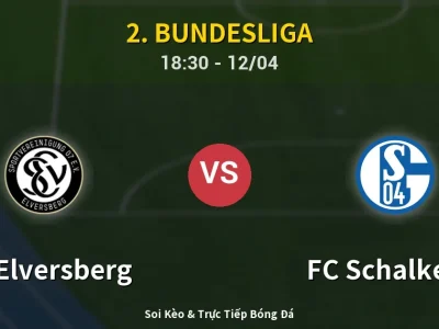 🔴 Trực Tiếp: SV Elversberg 1-1 FC Schalke 04 – Link Xem 2. Bundesliga (Full HD)