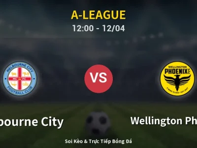 Kết Quả: Melbourne City 2-0 Wellington Phoenix – Highlight & Bàn Thắng | A-League